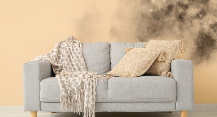 Safe and thorough mold removal services to restore air quality, protect your property, and prevent future damage.