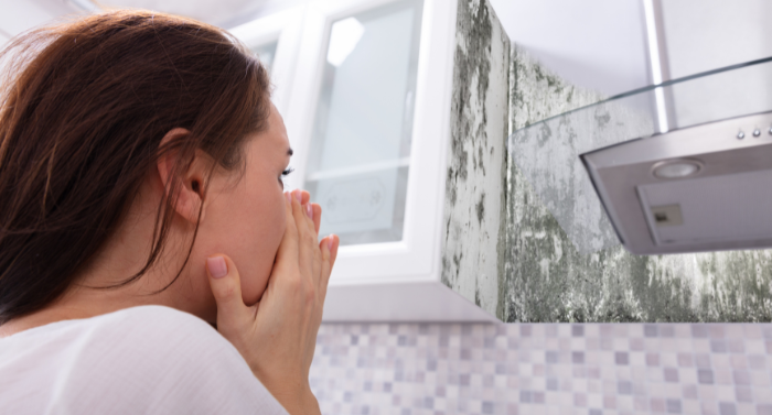 Safe and thorough mold removal services to restore air quality, protect your property, and prevent future damage.
