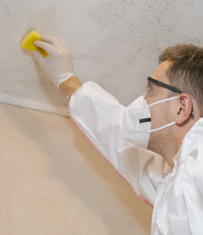 Safe and thorough mold removal services to restore air quality, protect your property, and prevent future damage.